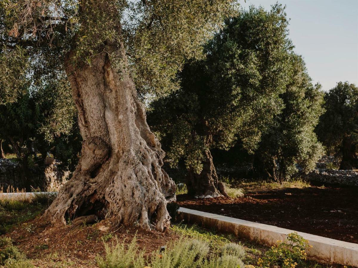 Masseria Dagilupi Ostuni Eksteriør bilde